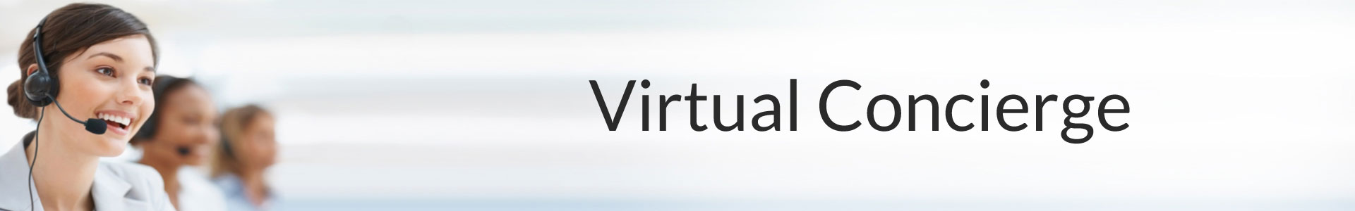 Virtual Conciege Services